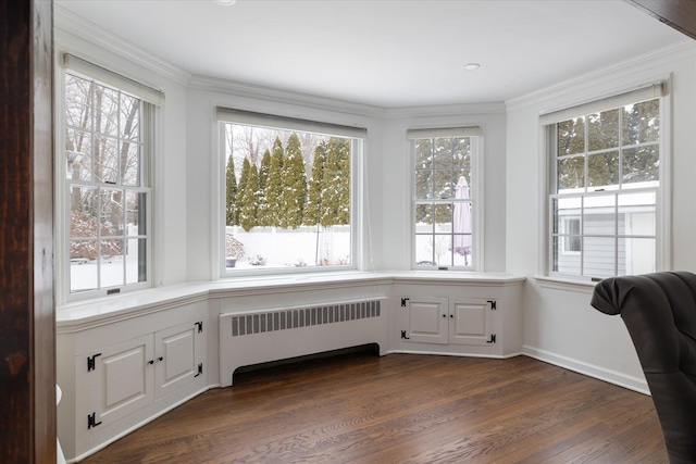 sunroom / solarium featuring radiator heating unit