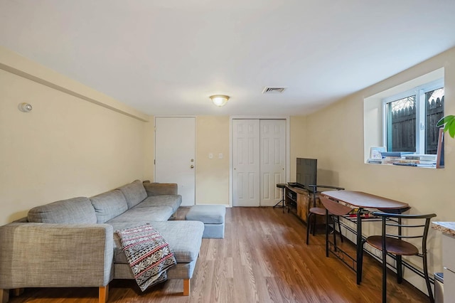 living room featuring wood-type flooring