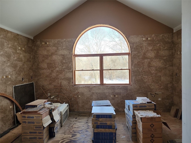 miscellaneous room featuring vaulted ceiling