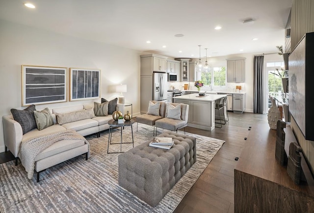 living room with sink and dark hardwood / wood-style floors