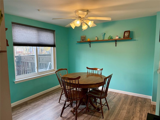 dining room featuring ceiling fan and wood-type flooring