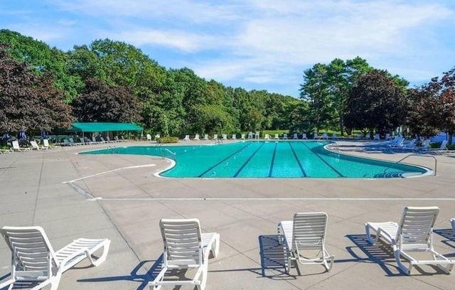 view of pool featuring a patio area