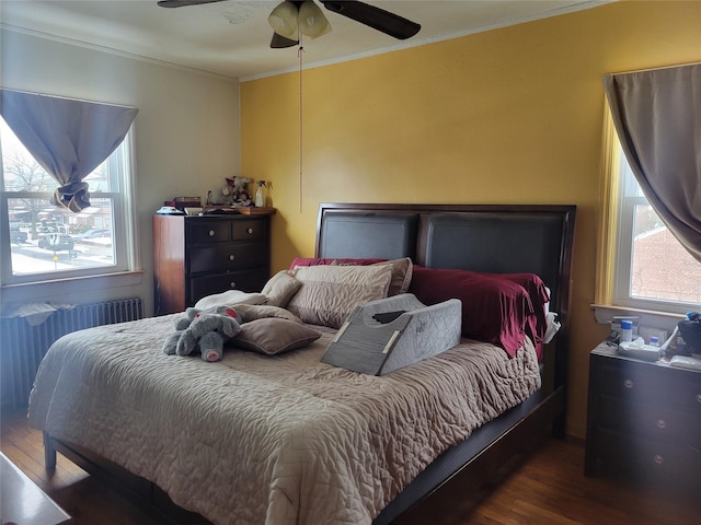 bedroom with multiple windows, ornamental molding, radiator, and dark hardwood / wood-style flooring