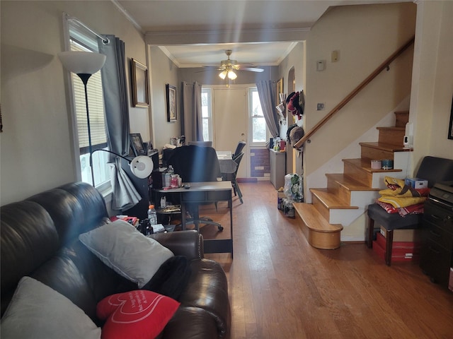 living room with hardwood / wood-style flooring, crown molding, and ceiling fan