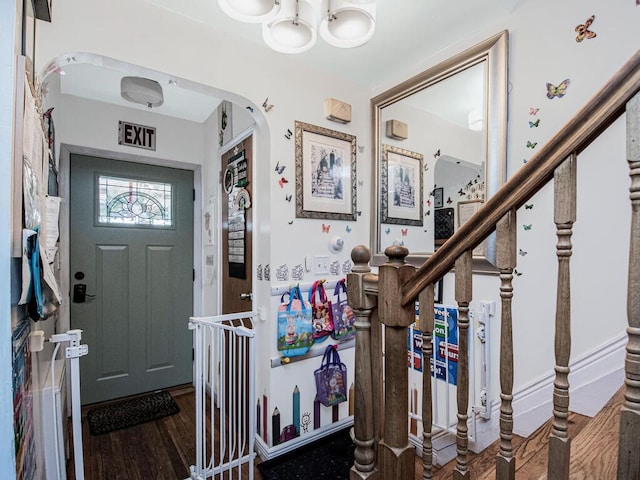 foyer entrance featuring wood-type flooring