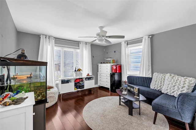 living room featuring plenty of natural light, dark hardwood / wood-style floors, and ceiling fan