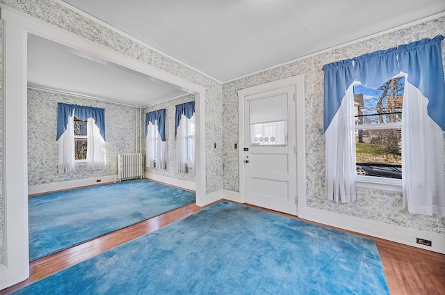 foyer entrance featuring crown molding, radiator heating unit, hardwood / wood-style floors, and a wealth of natural light