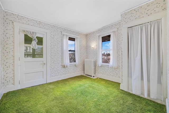 empty room with radiator heating unit and carpet flooring