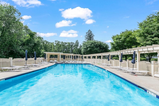 view of pool featuring a patio