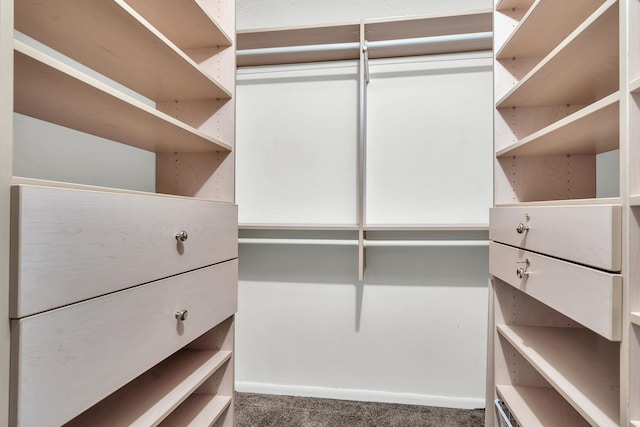 25 Rockledge Ave Unit 906W, White Plains, NY 10601 - spacious closet featuring carpet