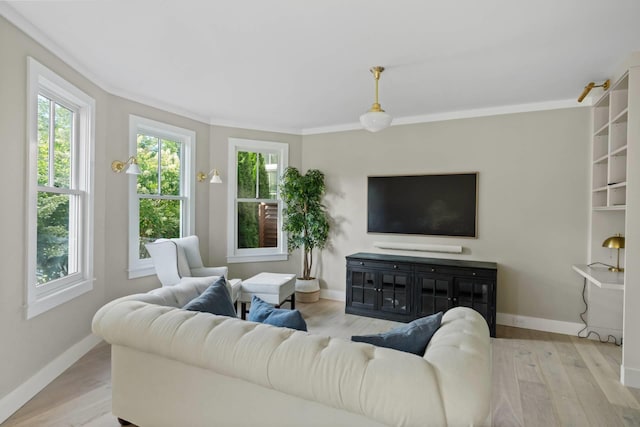 living room featuring crown molding and light hardwood / wood-style floors