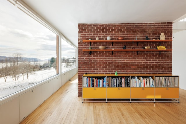 room details featuring a mountain view and hardwood / wood-style flooring