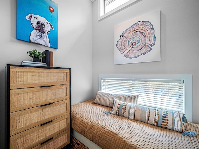 197 Wheeler Rd, Florida, NY 10921 - view of bedroom