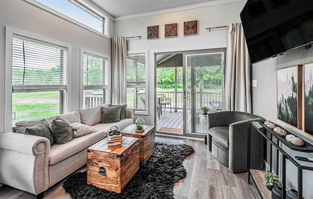 197 Wheeler Rd, Florida, NY 10921 - living area featuring wood finished floors and ornamental molding
