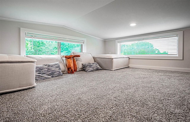 197 Wheeler Rd, Florida, NY 10921 - carpeted bedroom featuring multiple windows, vaulted ceiling, and ornamental molding