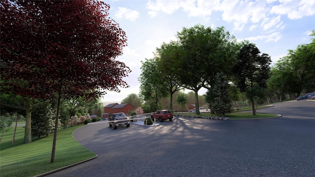 197 Wheeler Rd, Florida, NY 10921 - view of asphalt street with curbs