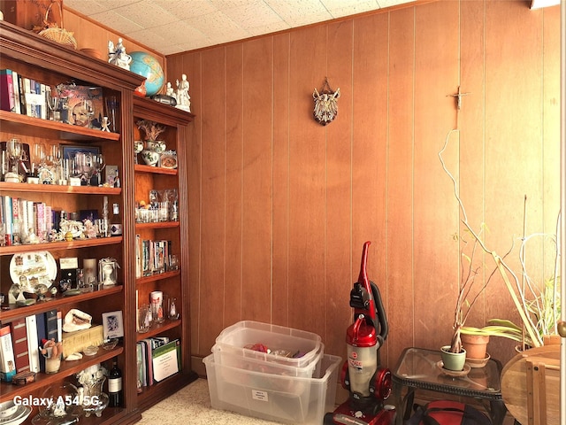 interior space with wood walls