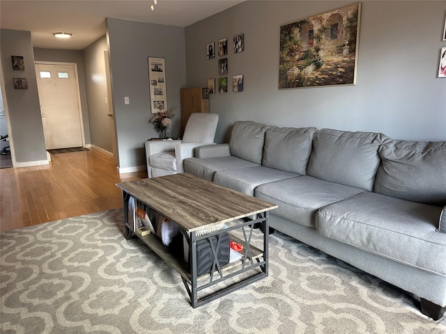 living room with hardwood / wood-style flooring