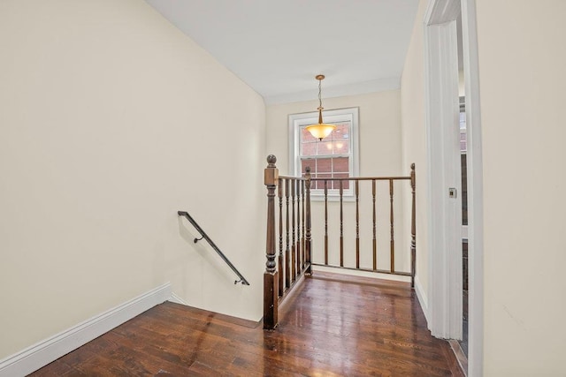 stairway featuring hardwood / wood-style flooring