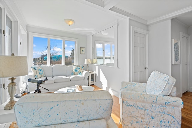 living room featuring hardwood / wood-style flooring and ornamental molding