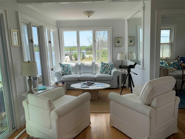 sunroom / solarium featuring a healthy amount of sunlight