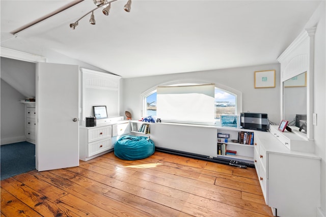 interior space with multiple windows, light hardwood / wood-style flooring, and lofted ceiling