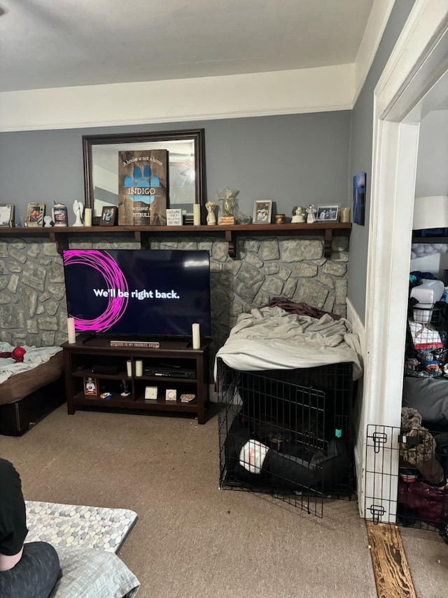 living room with carpet flooring