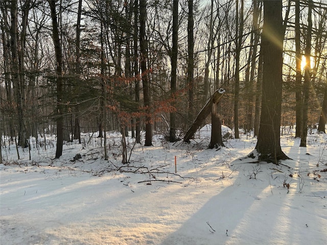 Listing photo 2 for LOT21.30 Pond Rd, Grahamsville NY 12765