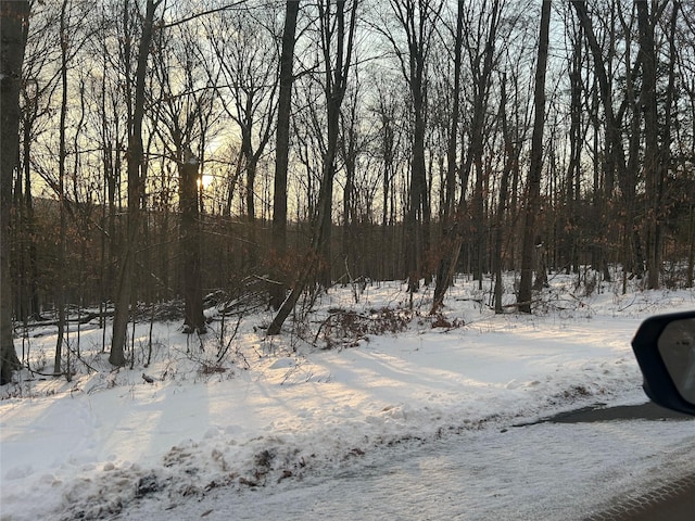 Listing photo 3 for LOT21.30 Pond Rd, Grahamsville NY 12765