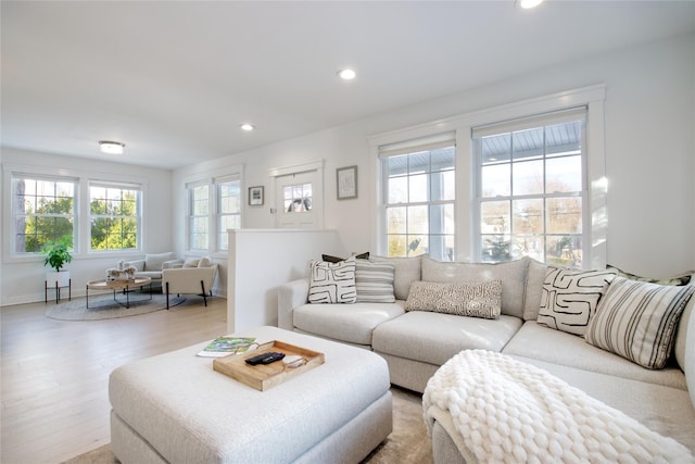 living room featuring light wood-type flooring