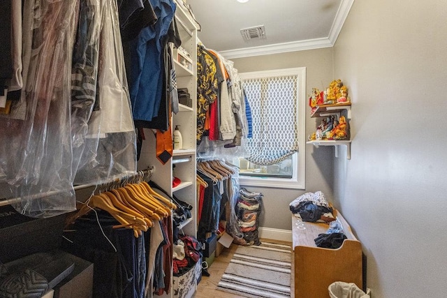 view of walk in closet