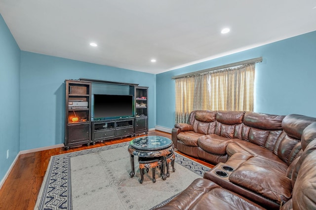 living room with a baseboard radiator and wood-type flooring