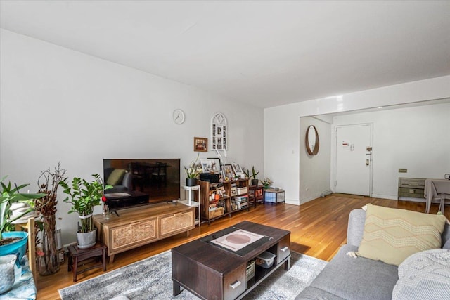 living room with hardwood / wood-style floors