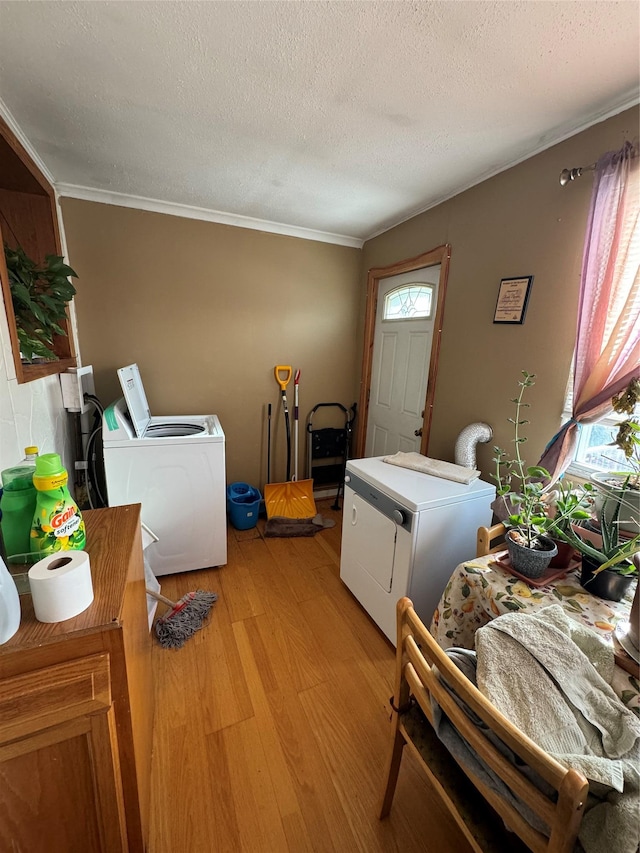 interior space with light wood-style floors, a healthy amount of sunlight, and washing machine and dryer