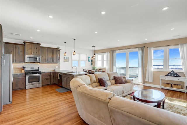 living room featuring sink and light hardwood / wood-style flooring