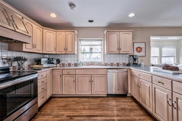 kitchen with stainless steel appliances, light brown cabinetry, sink, and decorative backsplash