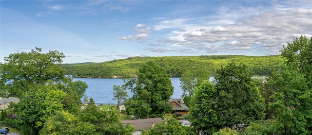 133 W Mombasha Rd, Monroe, NY 10950 - water view with a forest