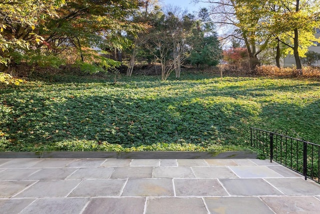 view of yard featuring a patio area