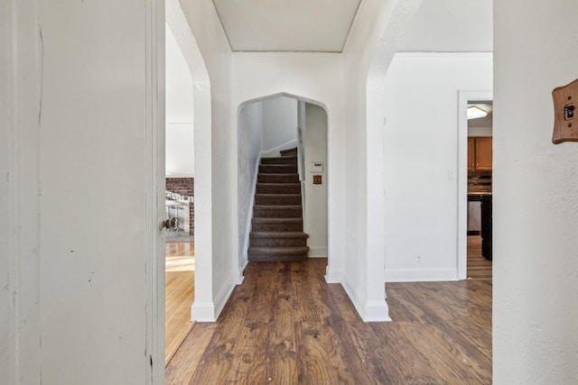 hallway featuring dark hardwood / wood-style flooring