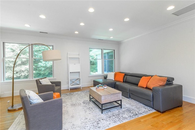 living room featuring crown molding and wood-type flooring