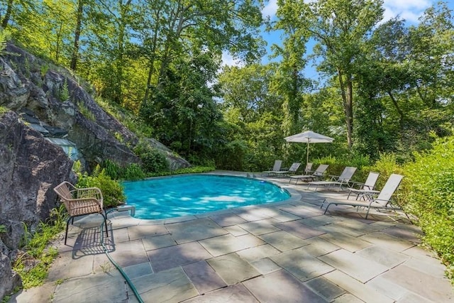 view of swimming pool with a patio