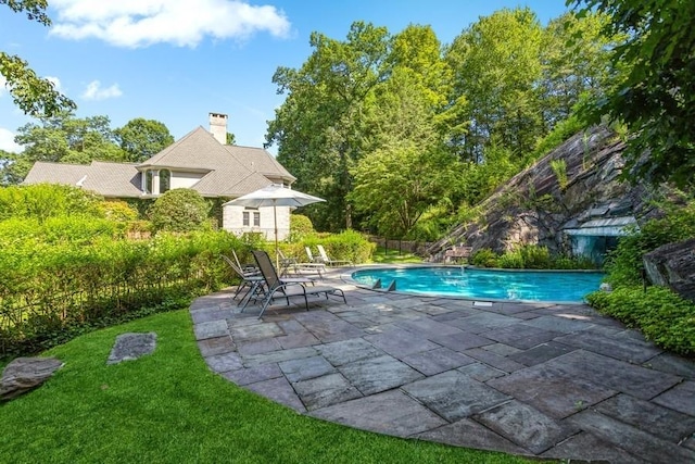 view of swimming pool featuring a patio area