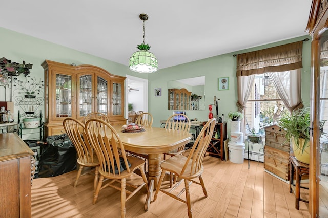 dining room with light wood finished floors and a baseboard radiator