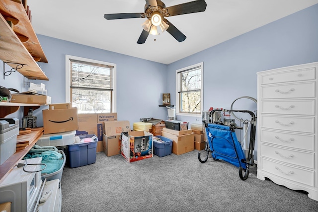 storage room featuring ceiling fan