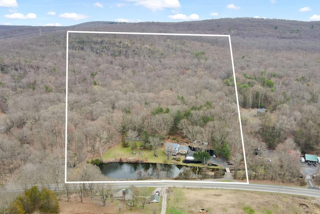 1285 Lakes Rd, Monroe, NY 10950 - photo 39