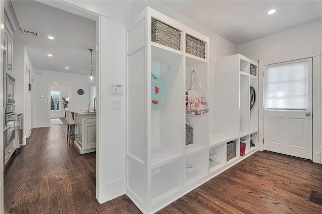 mudroom with dark wood-type flooring and sink