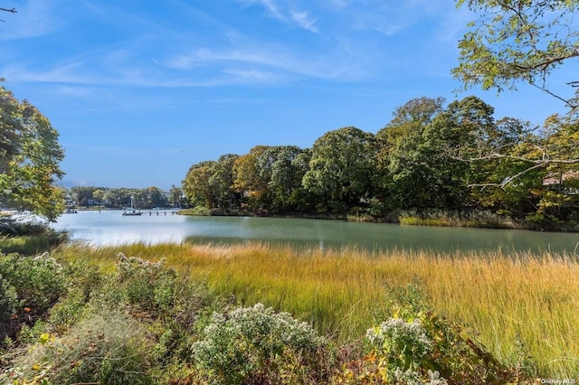 property view of water