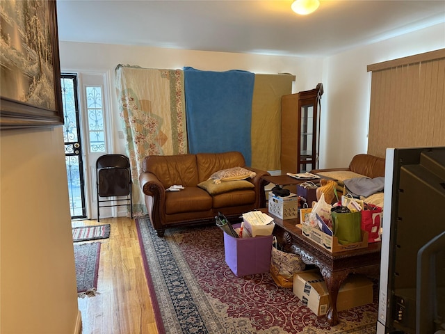 living room with hardwood / wood-style flooring