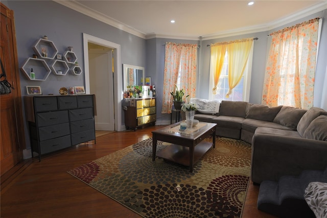 living room featuring ornamental molding and dark hardwood / wood-style floors