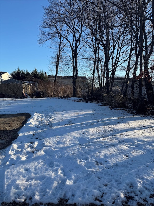 view of yard covered in snow